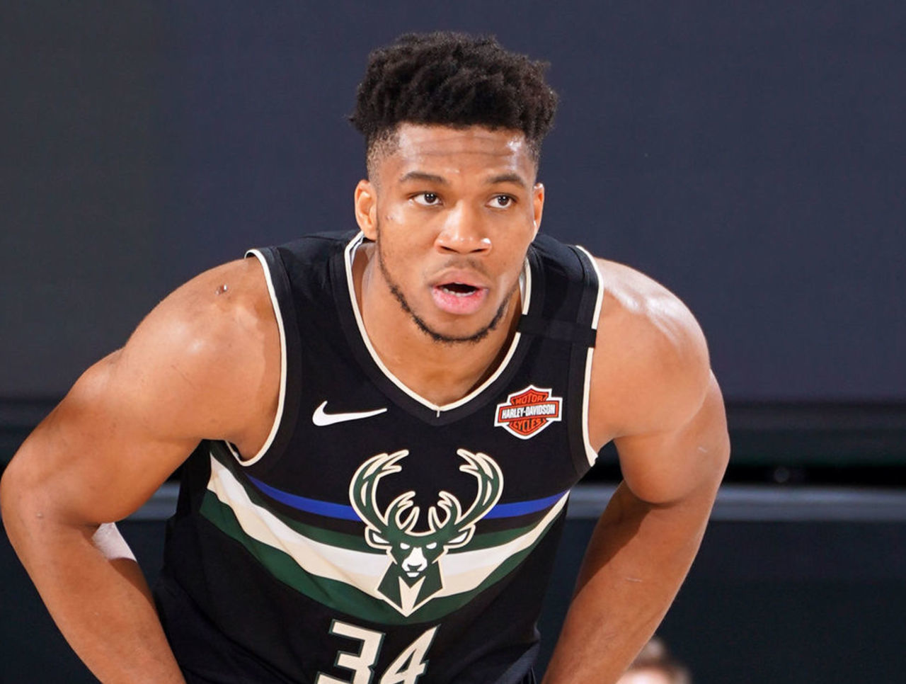 续参与多届 续参与多届