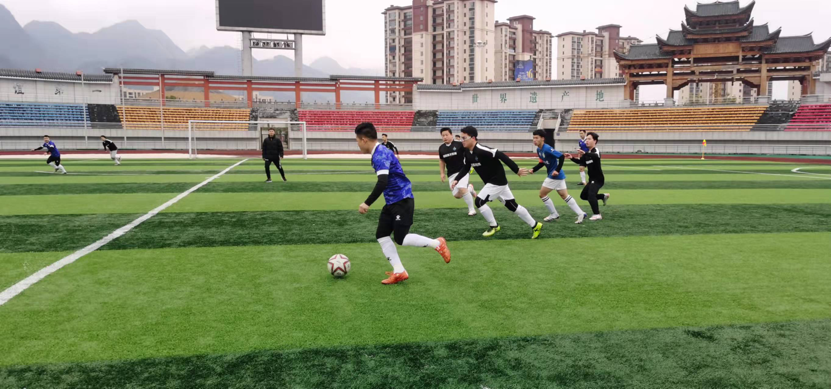 的能力不仅 的能力不仅