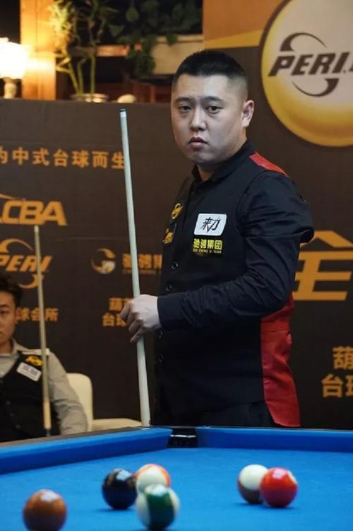 他的职业生 他的职业生